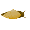 SeaSnail.png